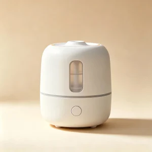 personal humidifier main